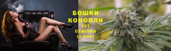 гидра Сосновоборск