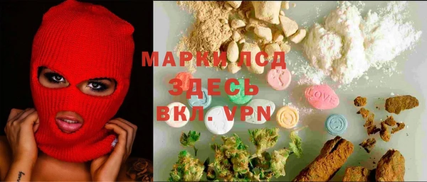 сатива Сосновка