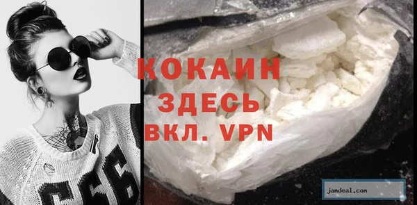твердый Вяземский