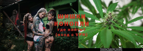 каннабис Верея