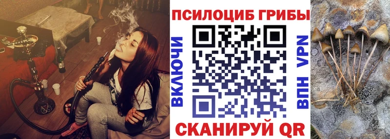 Псилоцибиновые грибы Psilocybe  Дагестанские Огни 